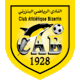 Team logo